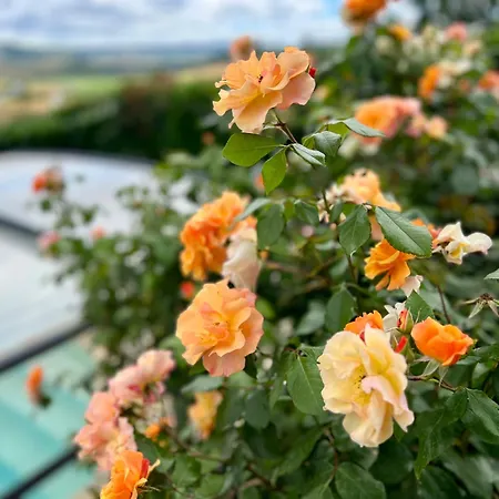 Nid D'amour En Auvergne Avec Piscine Holiday home